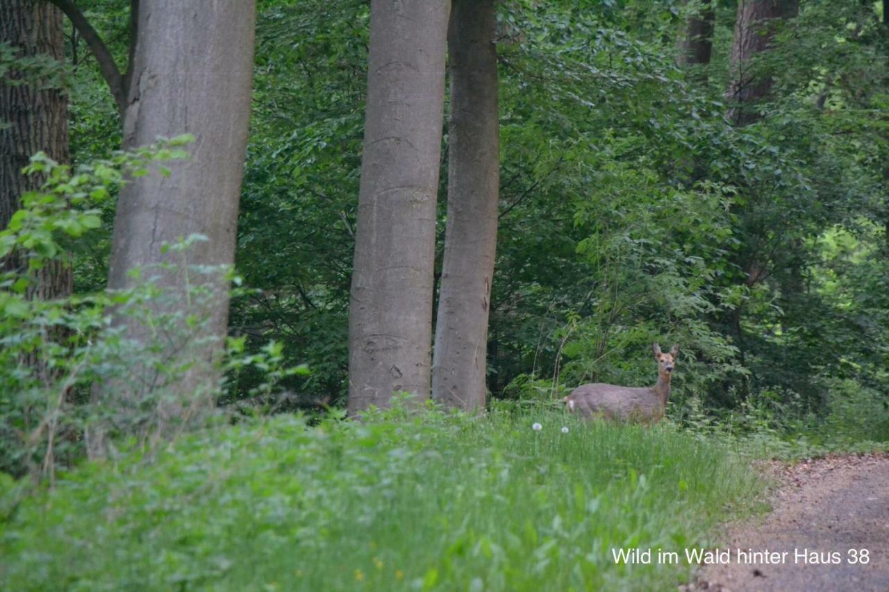 Huis 38 Seepark Kirchheim เคียร์ชไฮม์ ภายนอก รูปภาพ